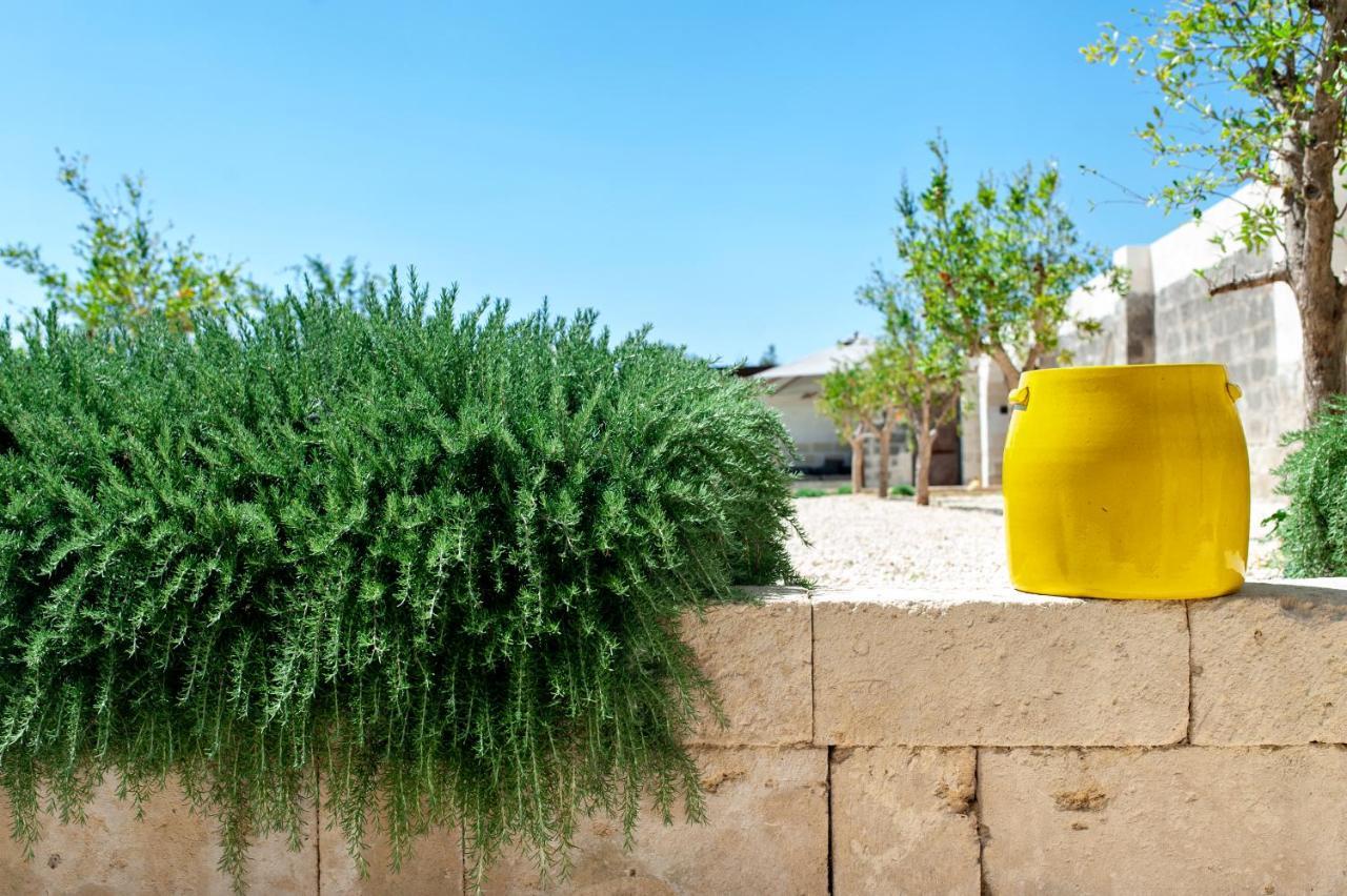 Masseria Pezza ساليس سالينتينو المظهر الخارجي الصورة