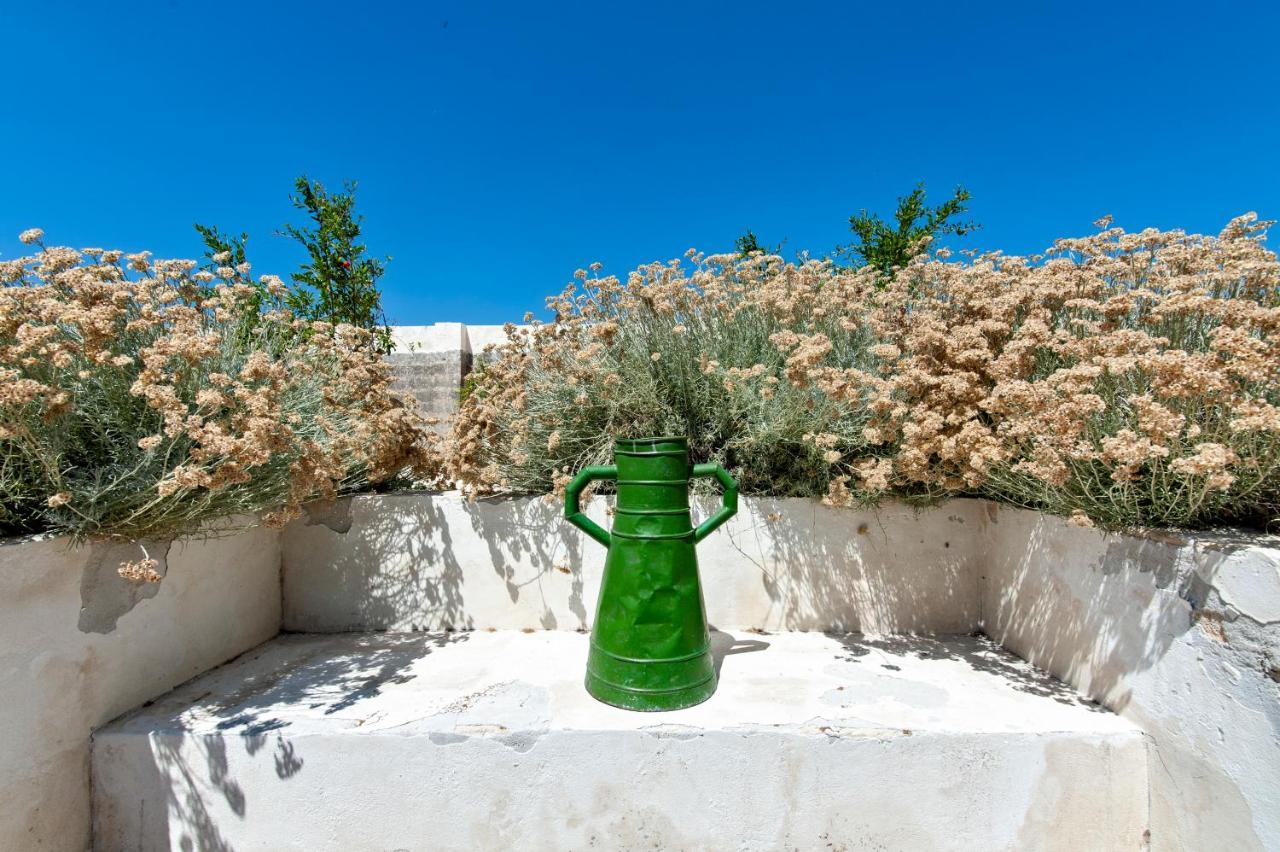 Masseria Pezza ساليس سالينتينو المظهر الخارجي الصورة