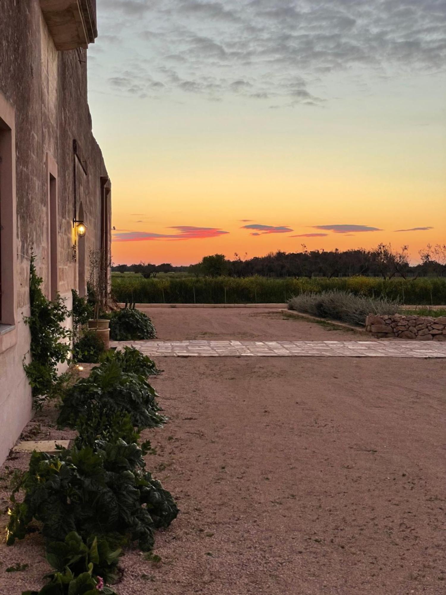 Masseria Pezza ساليس سالينتينو المظهر الخارجي الصورة